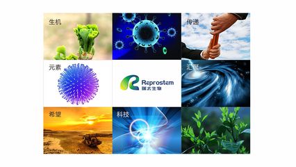 瑞太生物科技 推動(dòng)生物技術(shù)創(chuàng)新，引領(lǐng)健康未來