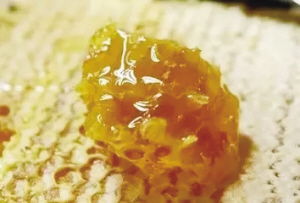 寧陜山珍 縣域公共品牌亮相古城西安，引領(lǐng)初級農(nóng)產(chǎn)品新風(fēng)尚