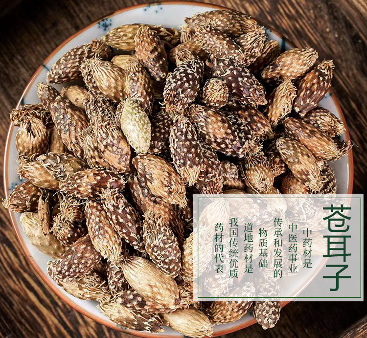 蒼耳子與去刺蒼耳 初級(jí)農(nóng)產(chǎn)品的傳統(tǒng)價(jià)值與應(yīng)用