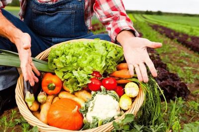 初級(jí)農(nóng)產(chǎn)品 定義、監(jiān)管與經(jīng)營(yíng)許可解讀